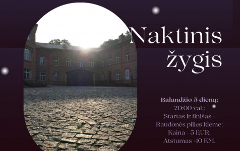 Naktinis žygis.jpg