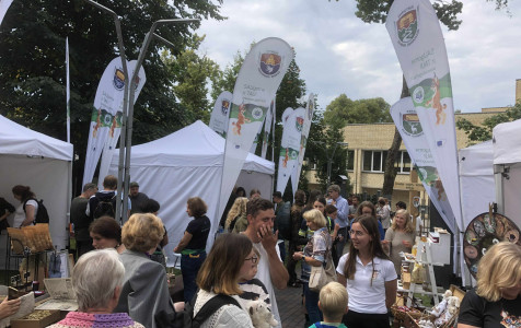 FEST 1.jpg