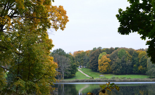 DSC_0099+.JPG