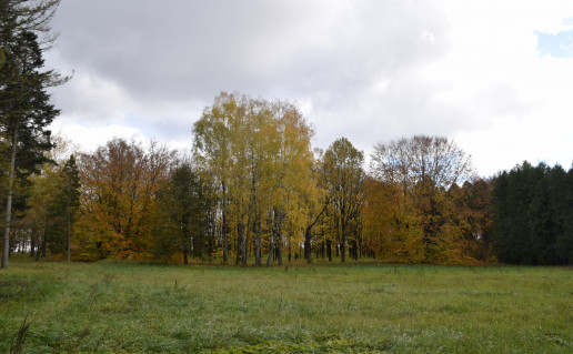 DSC_0232.JPG