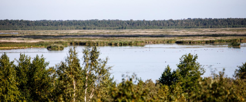 lankytoju-centro-apzvalgos-bokstas-5d5ff34adfa3d.jpg